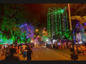 Onam Celebration Lights