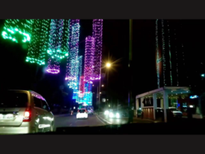 Onam Celebrations Light Works