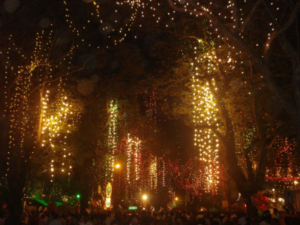 Onam Decorative Lights Years back