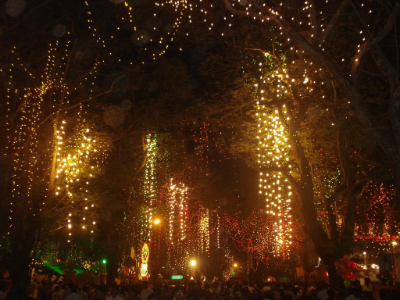 Onam Decorative Lights Years back