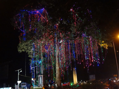 Onam Festival Light Works Trivandrum
