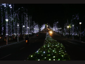 Technopark Trivandrum Fest Illumination Works
